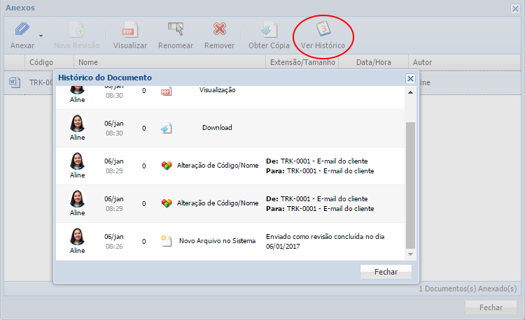 Ver histórico do Anexo