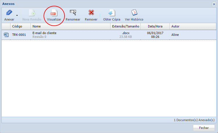 Visualizar Anexo
