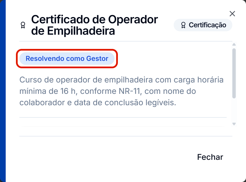 Janela com o selo resolvendo como gestor